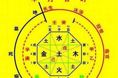 八字陰陽比例